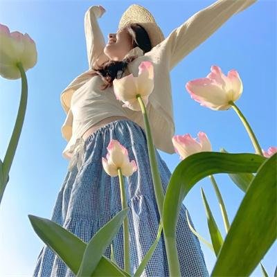 纸钞屋第四季